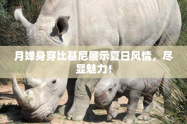 月婵身穿比基尼展示夏日风情，尽显魅力！