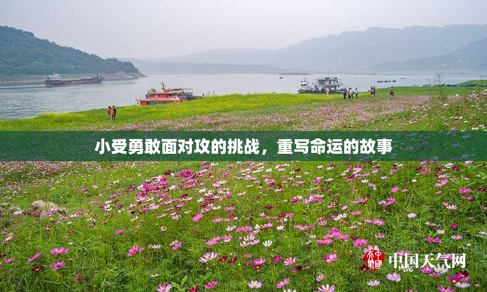 小受勇敢面对攻的挑战，重写命运的故事