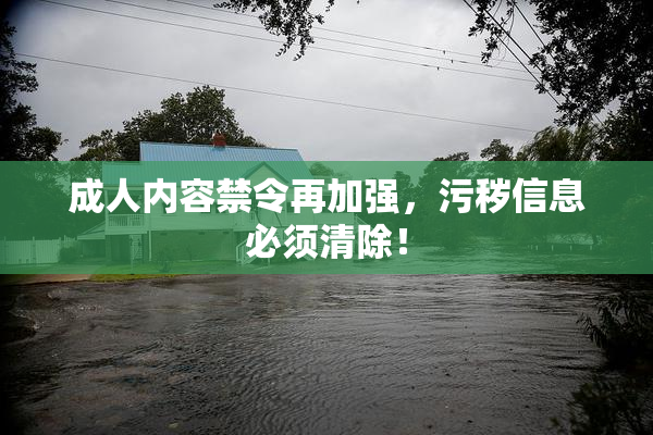 成人内容禁令再加强，污秽信息必须清除！