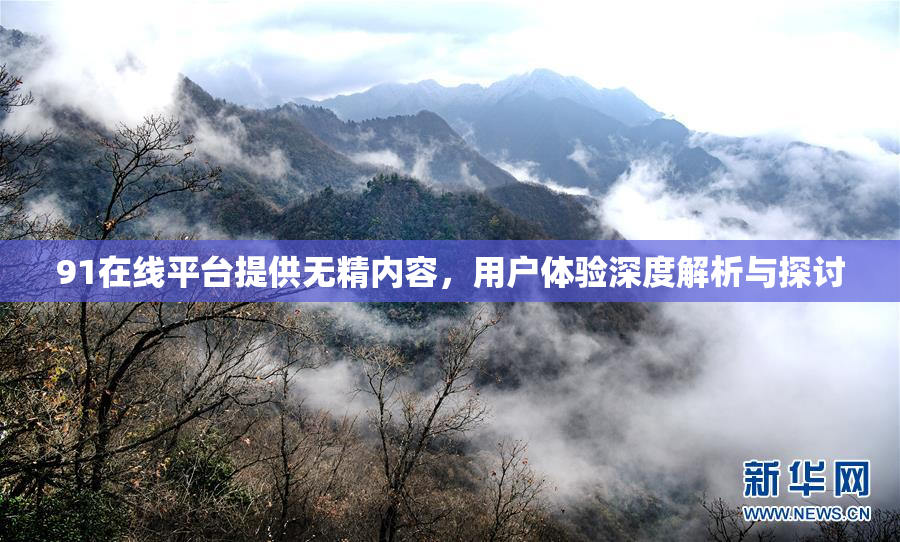 91在线平台提供无精内容，用户体验深度解析与探讨