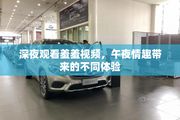 深夜观看羞羞视频，午夜情趣带来的不同体验