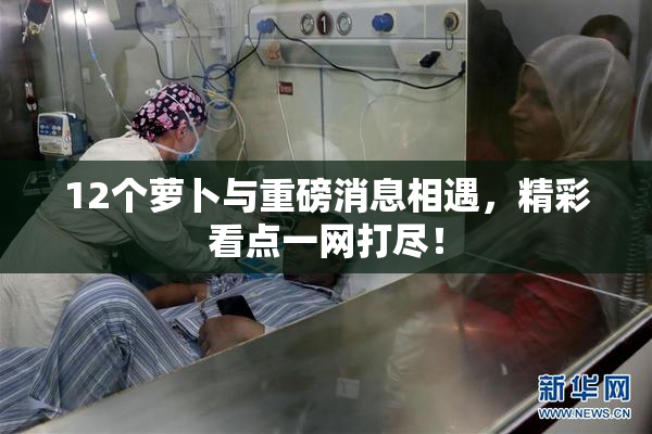 12个萝卜与重磅消息相遇，精彩看点一网打尽！