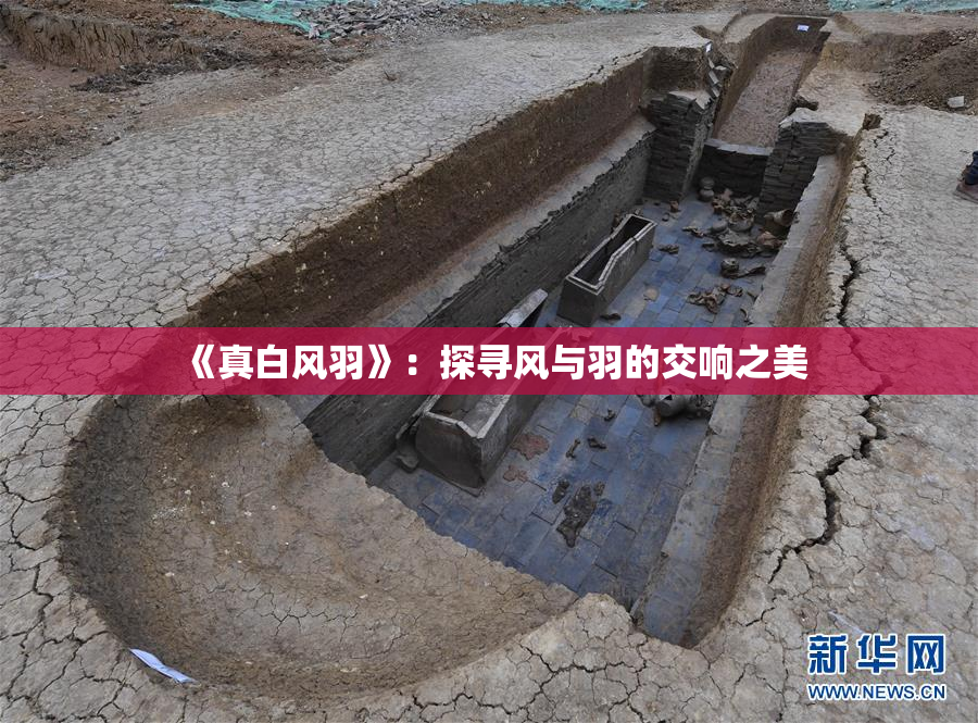 《真白风羽》：探寻风与羽的交响之美