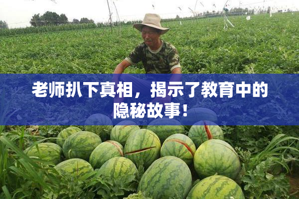 老师扒下真相，揭示了教育中的隐秘故事！
