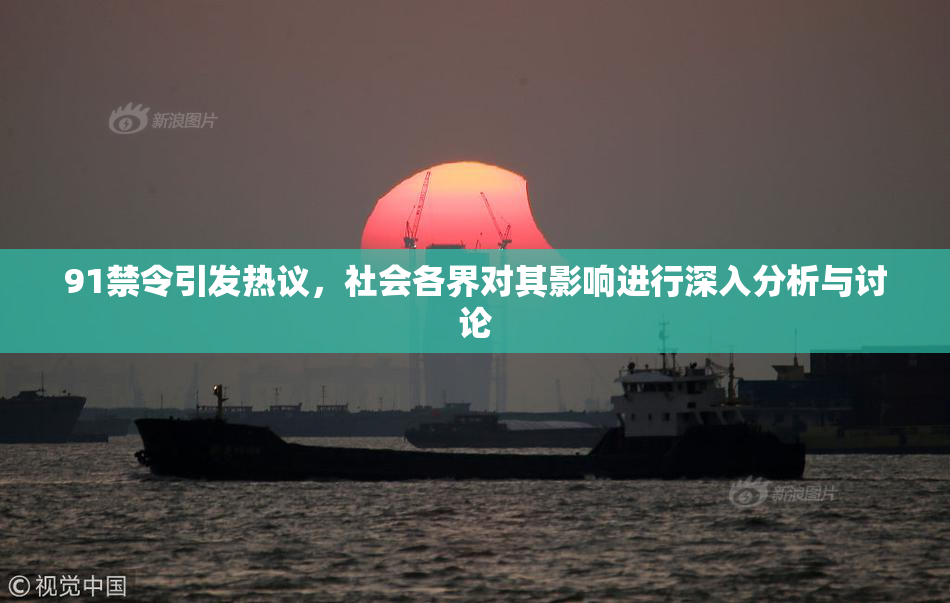 91禁令引发热议，社会各界对其影响进行深入分析与讨论
