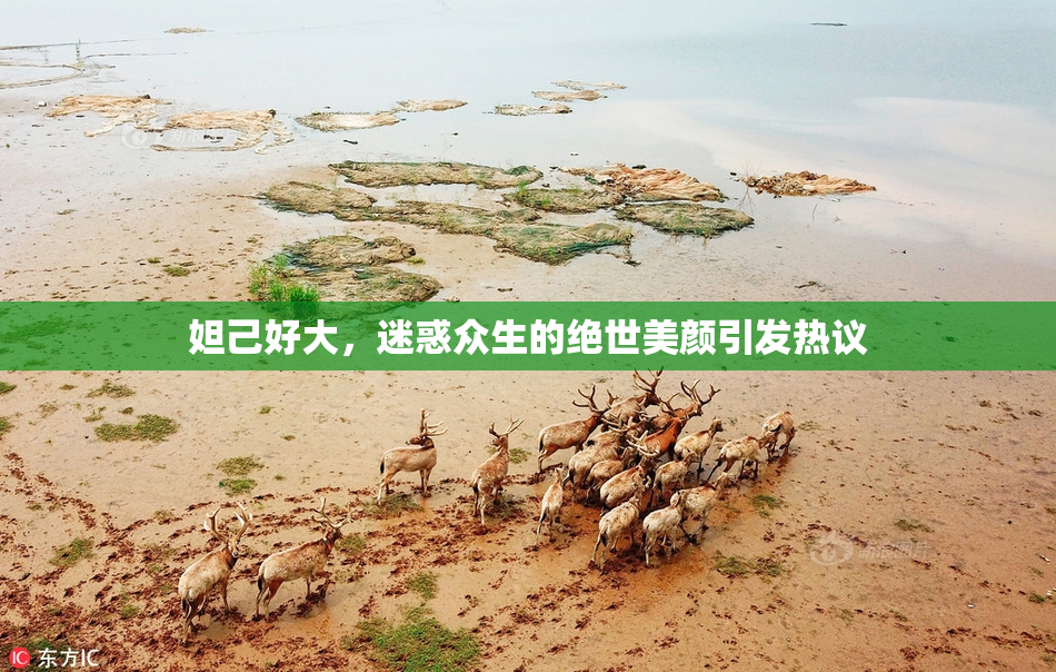妲己好大，迷惑众生的绝世美颜引发热议