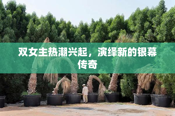 双女主热潮兴起，演绎新的银幕传奇