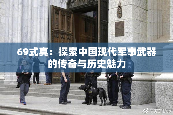69式真：探索中国现代军事武器的传奇与历史魅力