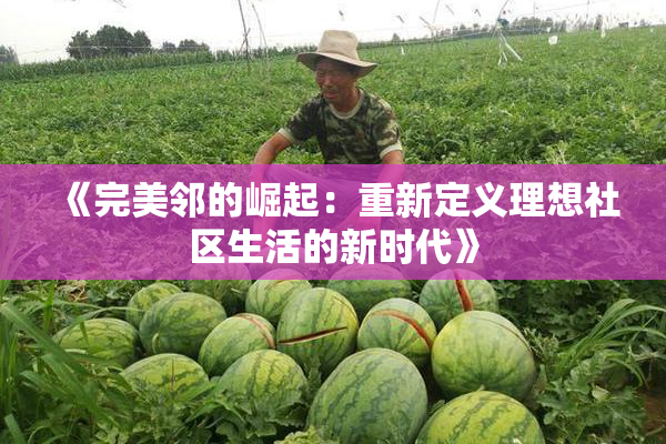 《完美邻的崛起：重新定义理想社区生活的新时代》