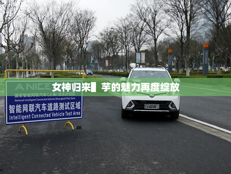 女神归来▌芋的魅力再度绽放