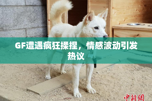 GF遭遇疯狂揉捏，情感波动引发热议