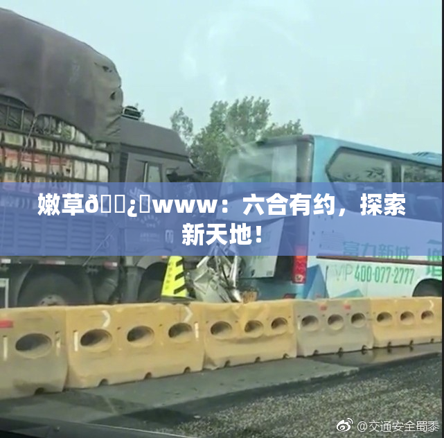 嫩草🌿‌www：六合有约，探索新天地！