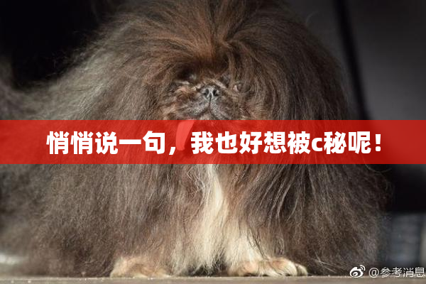 悄悄说一句，我也好想被c秘呢！