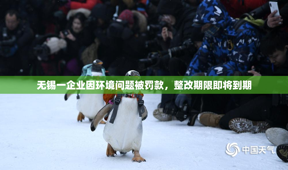 无锡一企业因环境问题被罚款，整改期限即将到期