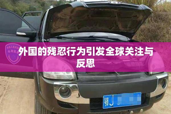 外国的残忍行为引发全球关注与反思