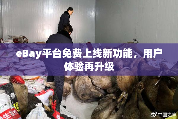 eBay平台免费上线新功能，用户体验再升级