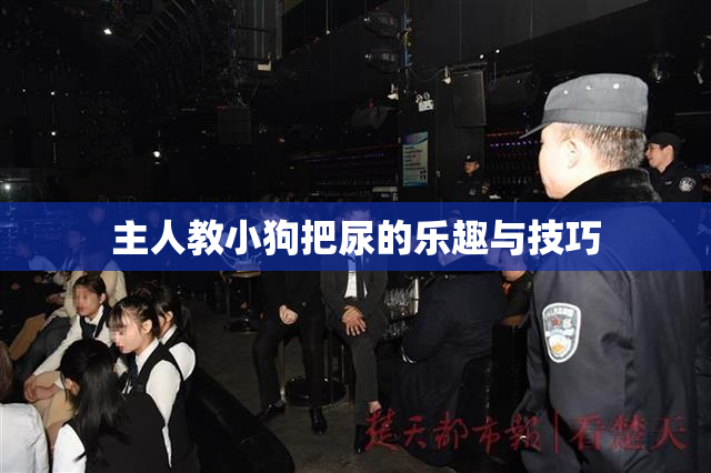 主人教小狗把尿的乐趣与技巧