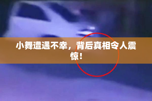小舞遭遇不幸，背后真相令人震惊！