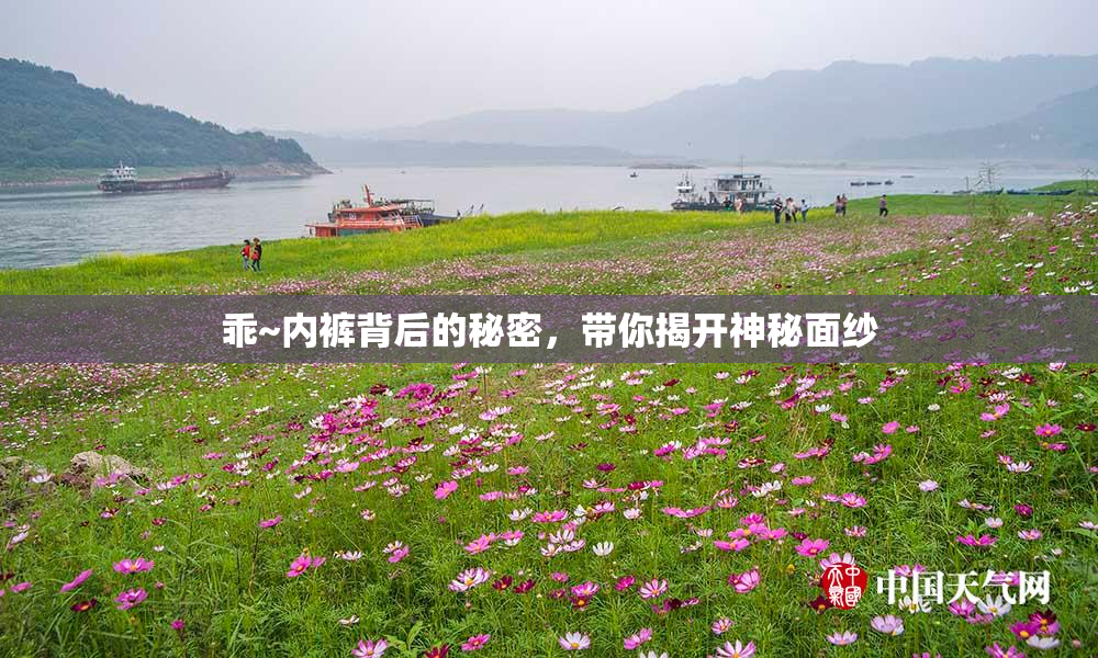 乖~内裤背后的秘密，带你揭开神秘面纱