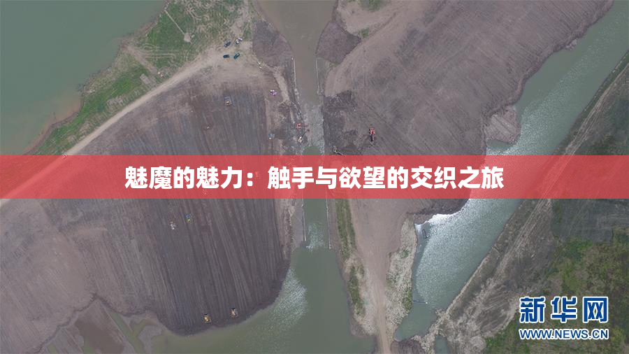 魅魔的魅力：触手与欲望的交织之旅