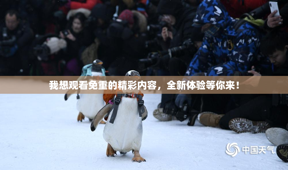 我想观看免重的精彩内容，全新体验等你来！
