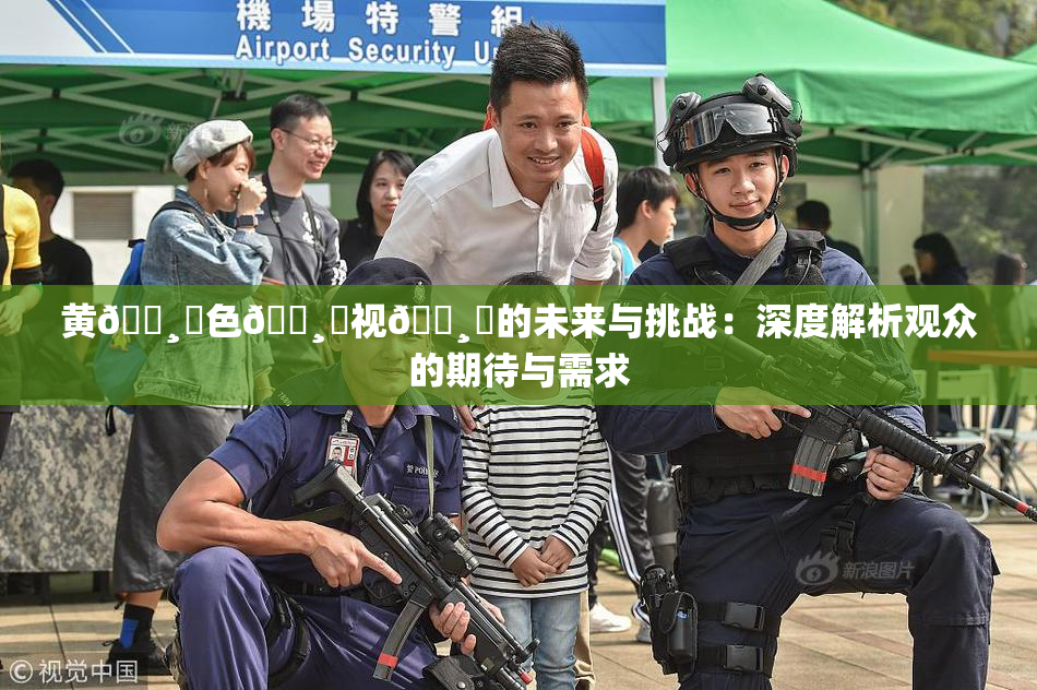 黄🌸‌色🌸‌视🌸‌的未来与挑战：深度解析观众的期待与需求