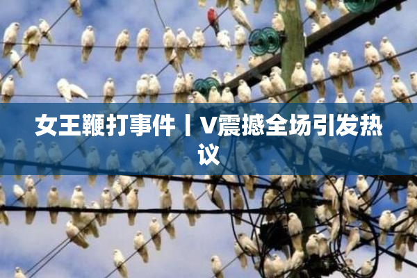 女王鞭打事件丨V震撼全场引发热议