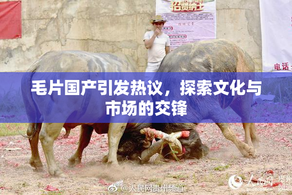 毛片国产引发热议，探索文化与市场的交锋