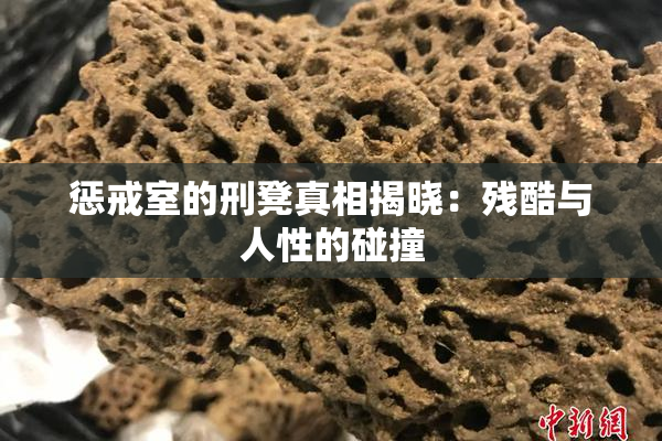 惩戒室的刑凳真相揭晓：残酷与人性的碰撞