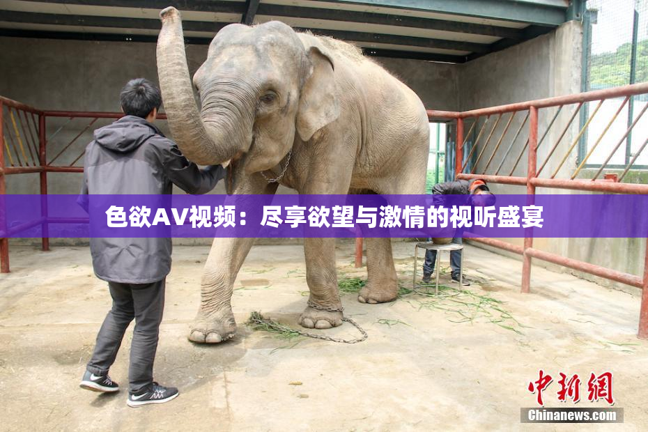 色欲AV视频：尽享欲望与激情的视听盛宴
