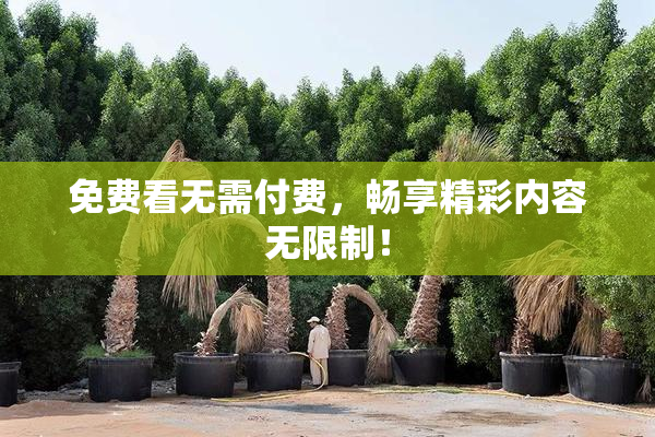 免费看无需付费，畅享精彩内容无限制！
