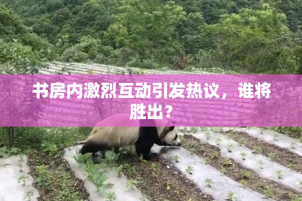 书房内激烈互动引发热议，谁将胜出？