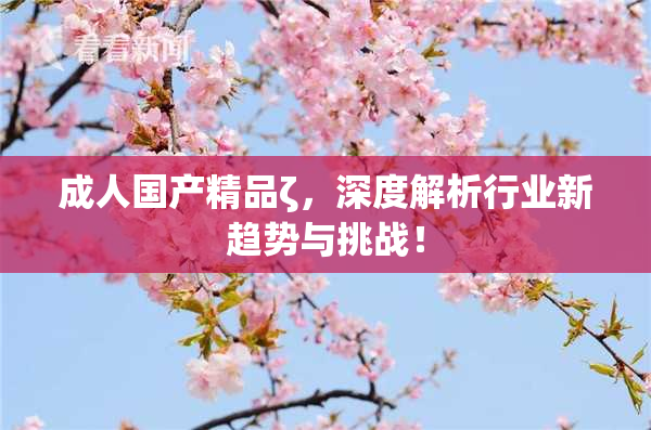 成人国产精品ζ，深度解析行业新趋势与挑战！