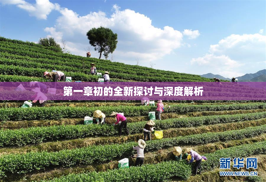 第一章初的全新探讨与深度解析
