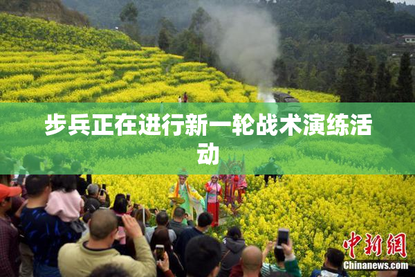 步兵正在进行新一轮战术演练活动