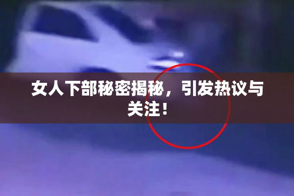 女人下部秘密揭秘，引发热议与关注！