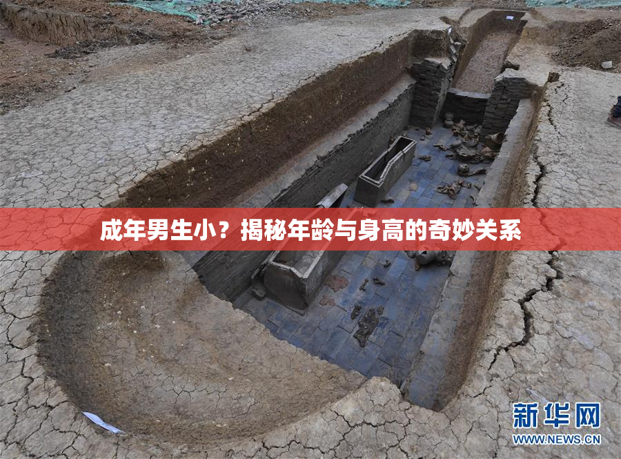 成年男生小？揭秘年龄与身高的奇妙关系