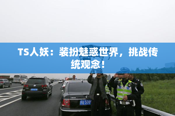 TS人妖：装扮魅惑世界，挑战传统观念！