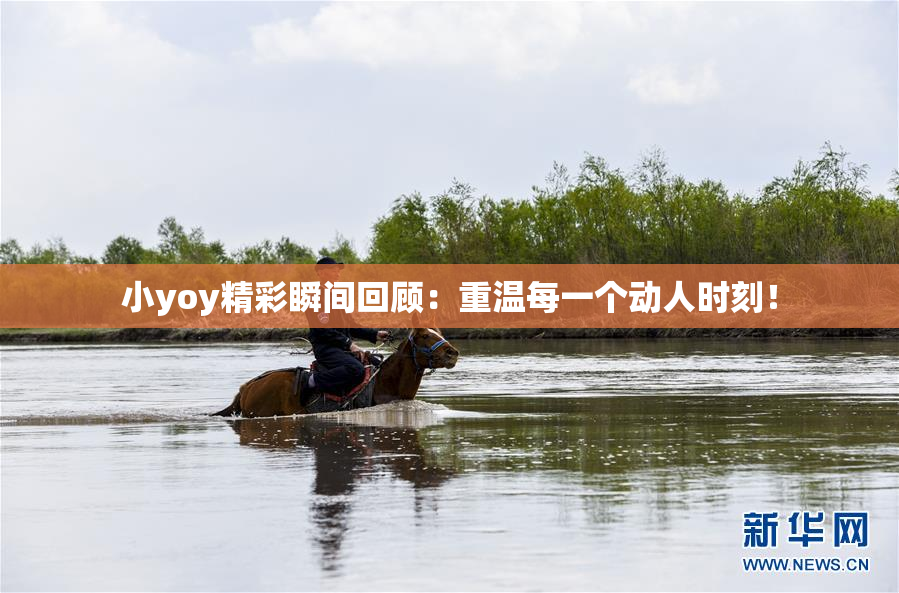 小yoy精彩瞬间回顾：重温每一个动人时刻！
