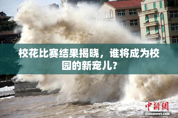 校花比赛结果揭晓，谁将成为校园的新宠儿？