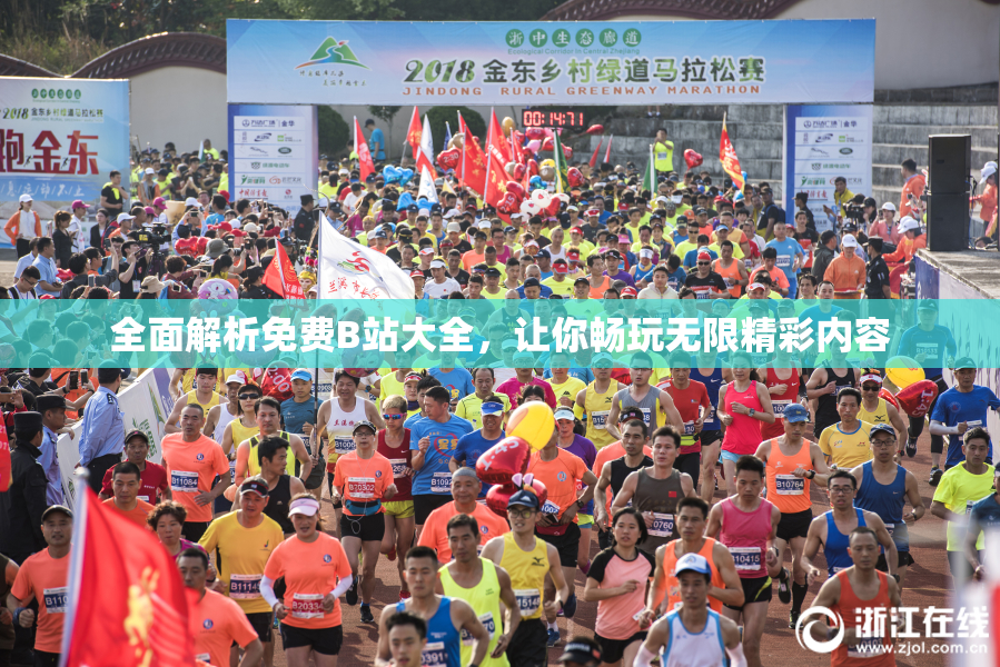 全面解析免费B站大全，让你畅玩无限精彩内容