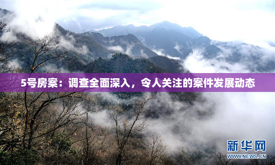 5号房案：调查全面深入，令人关注的案件发展动态