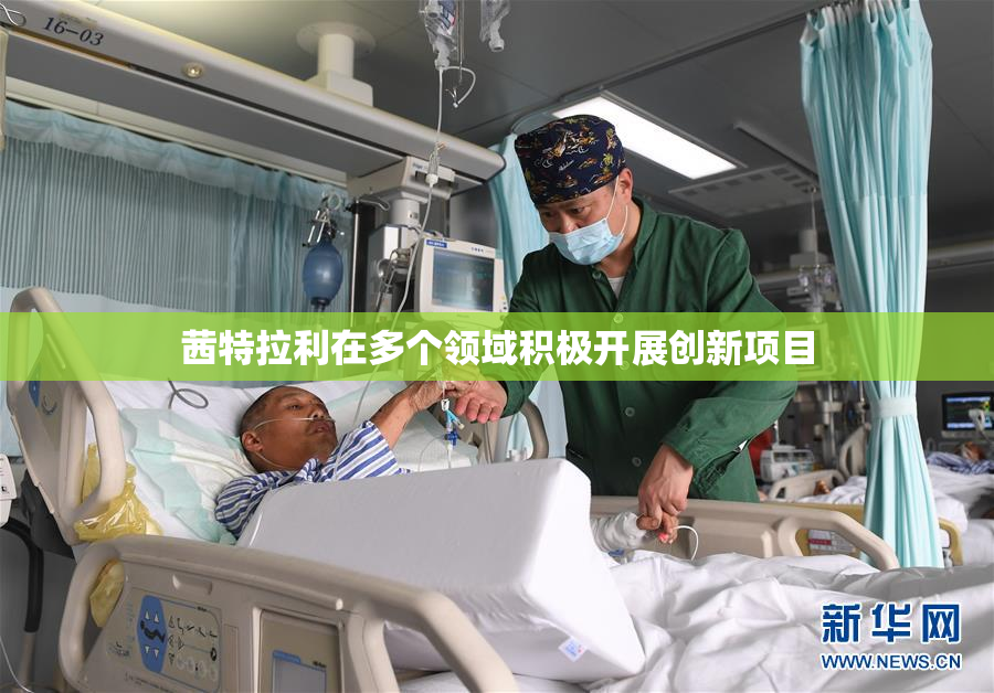 茜特拉利在多个领域积极开展创新项目
