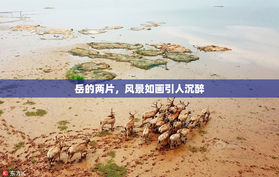 岳的两片，风景如画引人沉醉