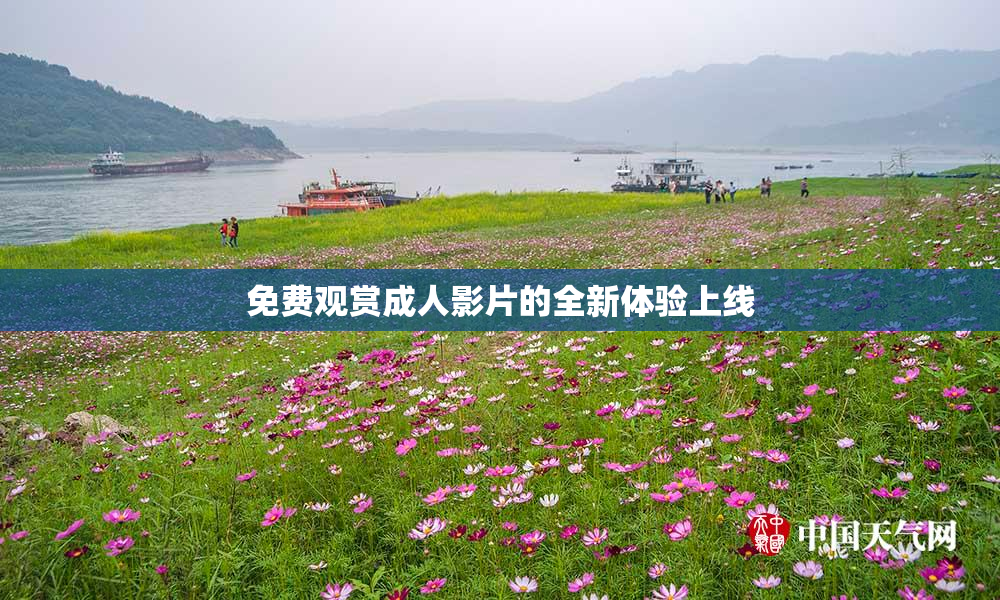 免费观赏成人影片的全新体验上线