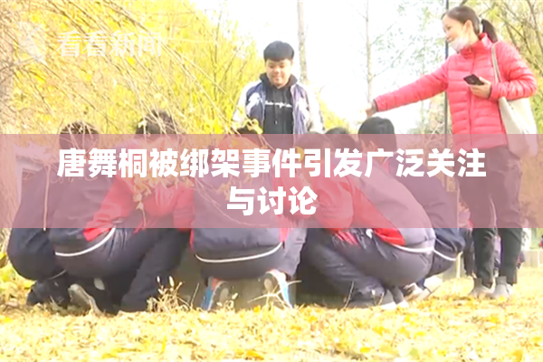 唐舞桐被绑架事件引发广泛关注与讨论