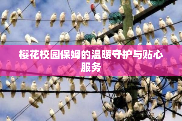 樱花校园保姆的温暖守护与贴心服务