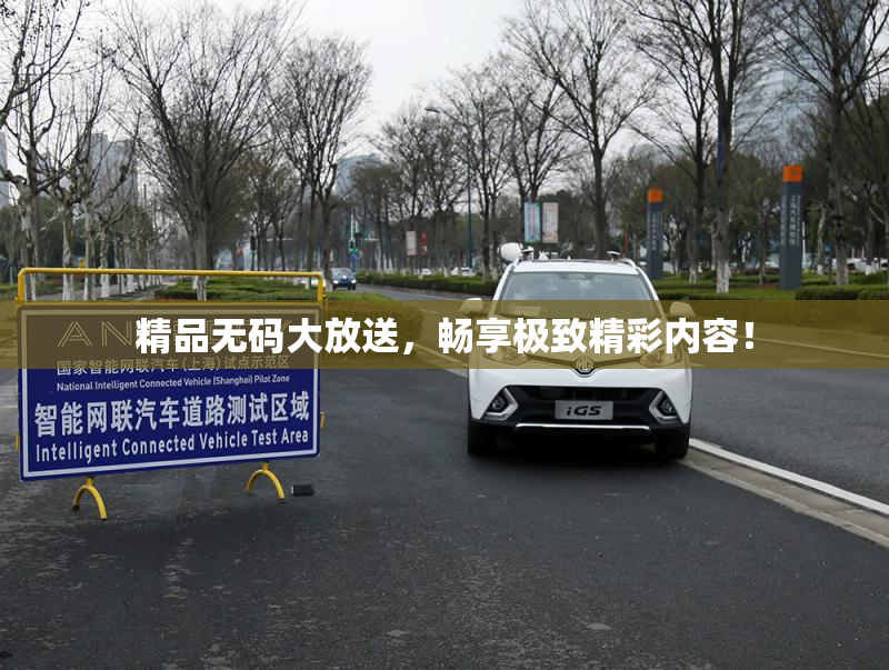 精品无码大放送，畅享极致精彩内容！