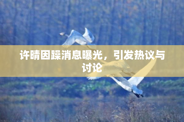 许晴因躁消息曝光，引发热议与讨论
