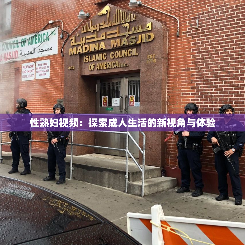 性熟妇视频：探索成人生活的新视角与体验
